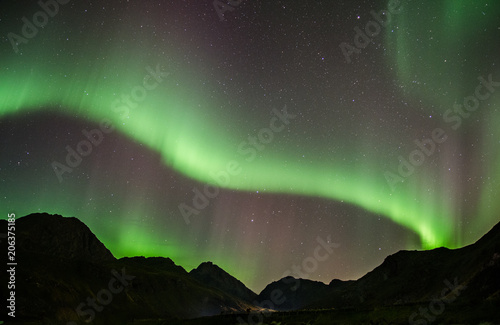 Aurores boréales aux Lofoten, Norvège