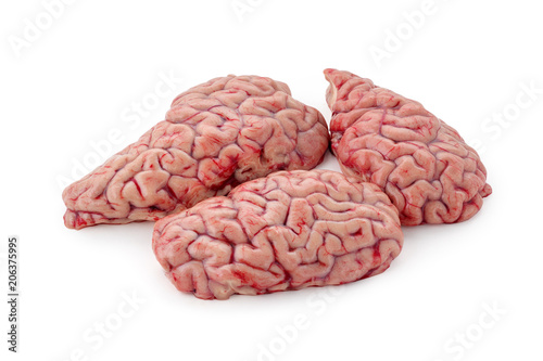 Obraz na plátně raw brain on a white background isolated