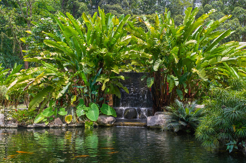 Perdana Botanical Garden small pond with koi fish view in Kuala Lumpur  Malaysia