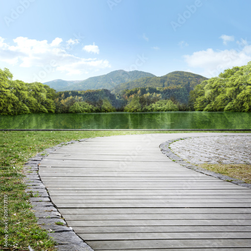 A wooden path in a beautiful green park against the background of a lake and mountains.