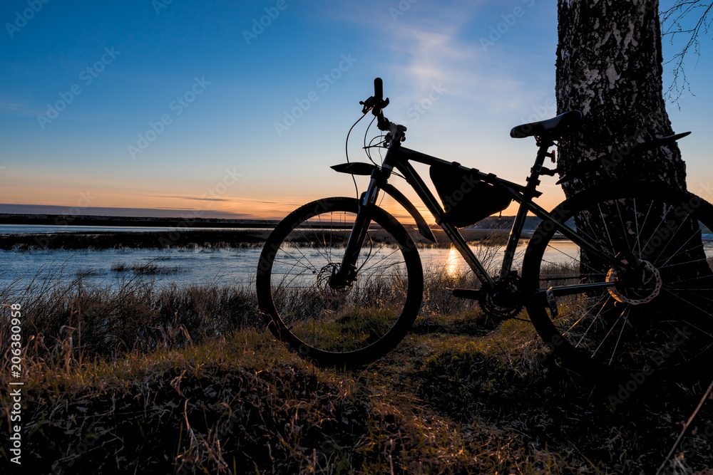 Fototapeta premium Silhouette of a bicycle standing near a tree against the backdrop of the setting sun