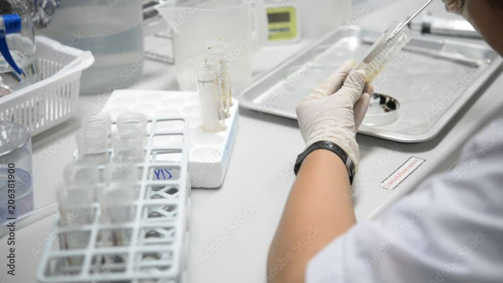 Scientist working in the lab,Make experiments and research to develop products from the company's customers,Work in a modern laboratory Scientist working in the lab,Make experiments and research to develop products from the company's customers,Work in a modern laboratory