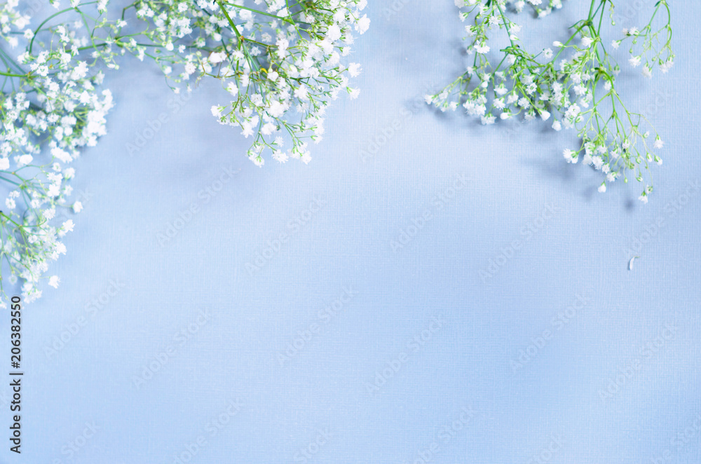 Styled stock photo. Feminine wedding desktop mockup with baby's breath  Gypsophila flowers on blue background. Empty space. Floral frame, web  banner. Top view. Square icture for blog or social media. Stock Photo |