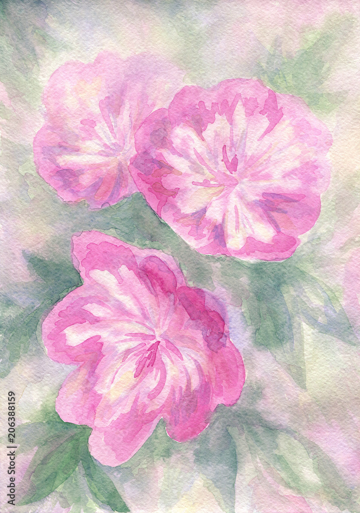 Pink peonies. Watercolor artwork