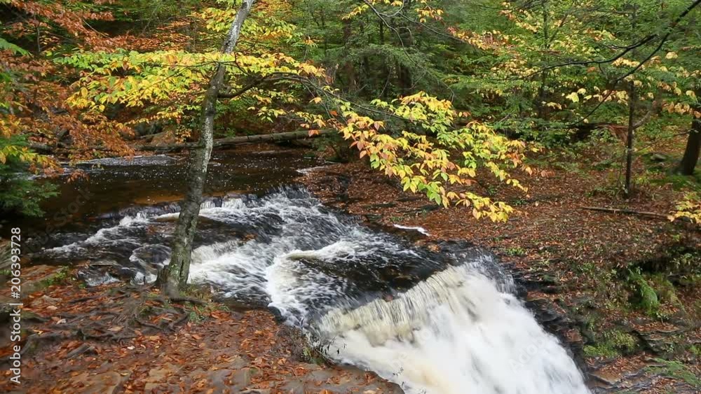The top of Ganoga Falls, a beautiful waterfall in Pennsylvania's Ricketts Glen State Park, is topped by colorful autumn leaves in this looping video footage. The top of Ganoga Falls, a beautiful waterfall in Pennsylvania's Ricketts Glen State Park, is topped by colorful autumn leaves in this looping video footage.