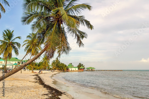 Serene beach scene in Ambergris Caye  Belize.