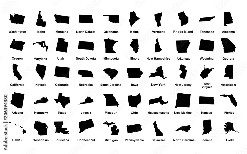 United States of America. 50 States. Vector illustration - obrazy, fototapety, plakaty 