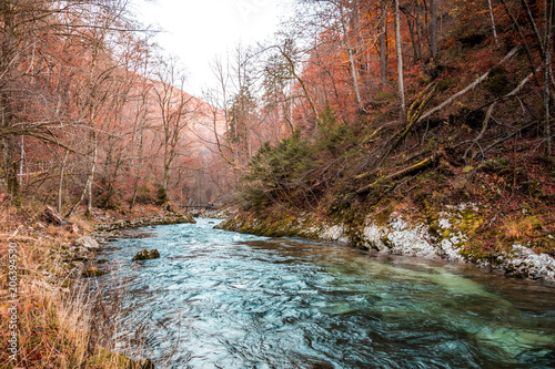 Autumn forest scenery with azure blue river and sun coming through trees  The Vintgar Gorge  Slovenia