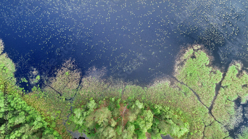 Fototapeta Naklejka Na Ścianę i Meble -  Aerial view from drone- lake in the forest
