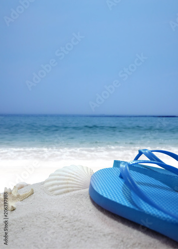 hello summer holiday background & object