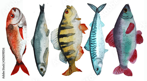 Photography set with fish