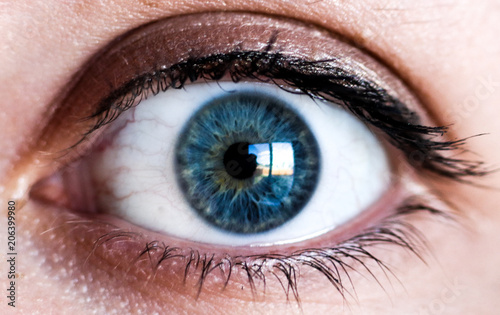 Macro shot of an blue iris and pupil female eyeball staring into the camera