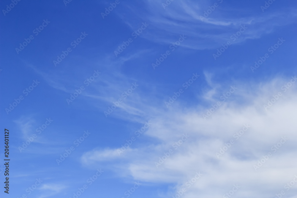 Obraz premium white fluffy clouds in the blue sky