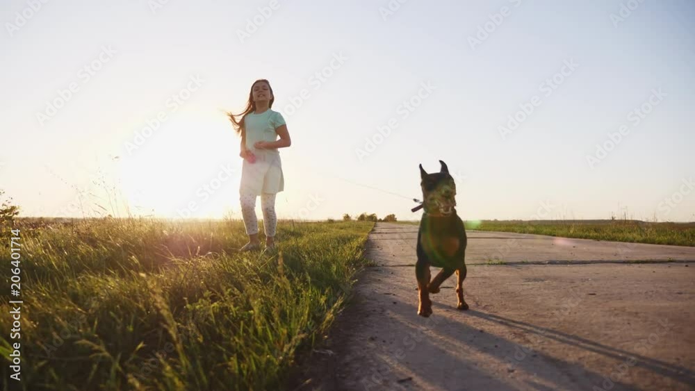 Child Walking, Running and Playing with Dogs, Children Love Puppies, Pets. Slow moton at sunset Child Walking, Running and Playing with Dogs, Children Love Puppies, Pets. Slow moton at sunset