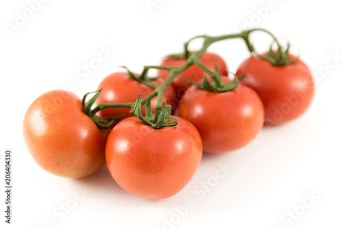 tomatoes on branch on white background
