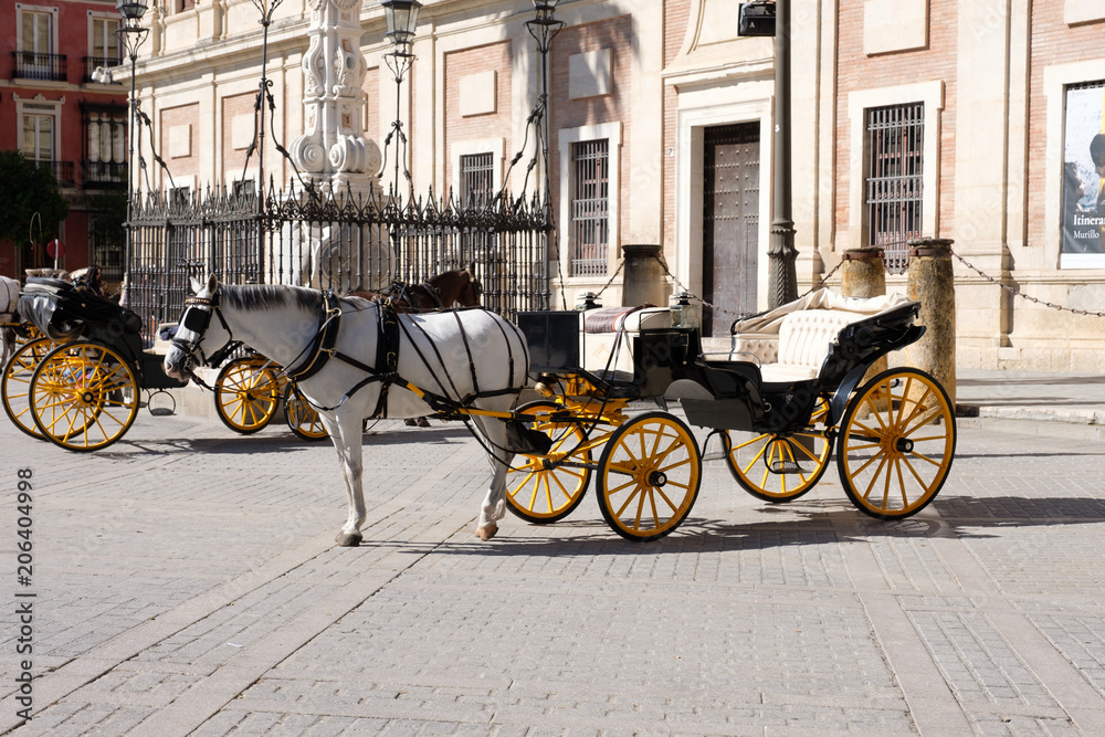 Horse and carriage in Seville, Spaine