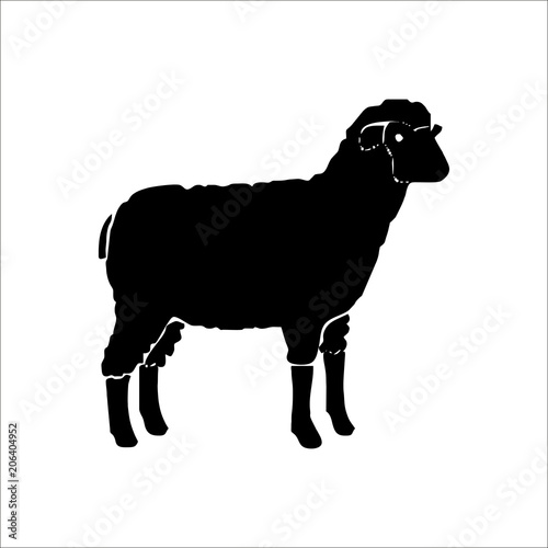 Sheep silhouette isolated on white background