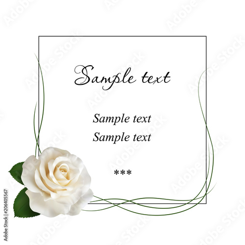 Realistic ivory white rose, card.