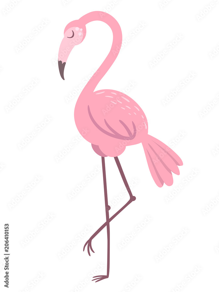 A pink flamingo on white background. Vector illustration.