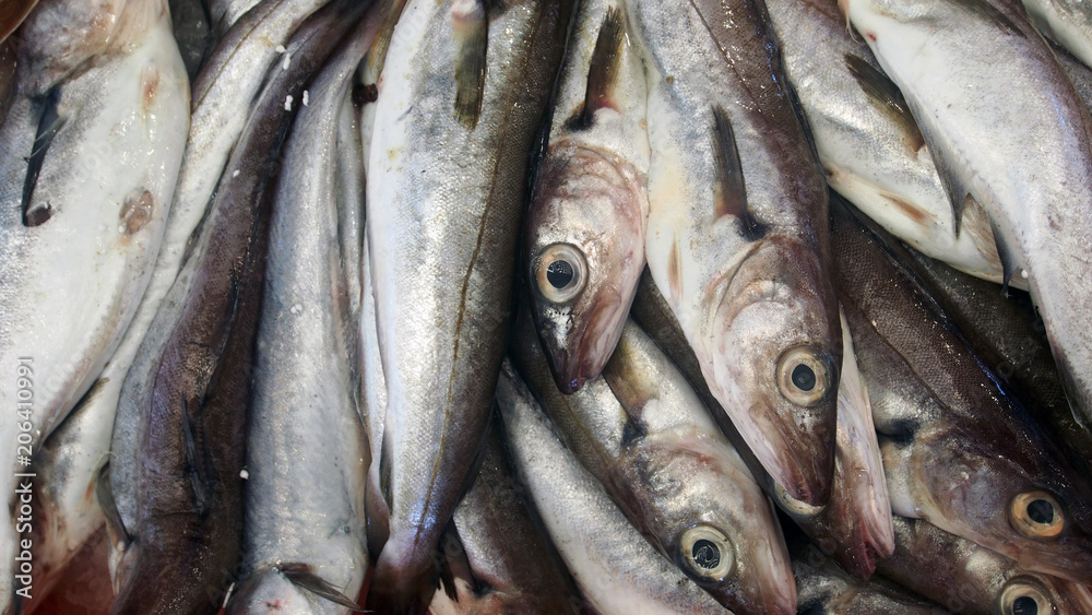Frische Atlantische Sardinen auf dem Fischmarkt Frische Atlantische Sardinen auf dem Fischmarkt