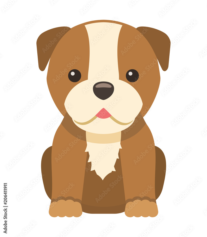 Cute little bulldog on white background