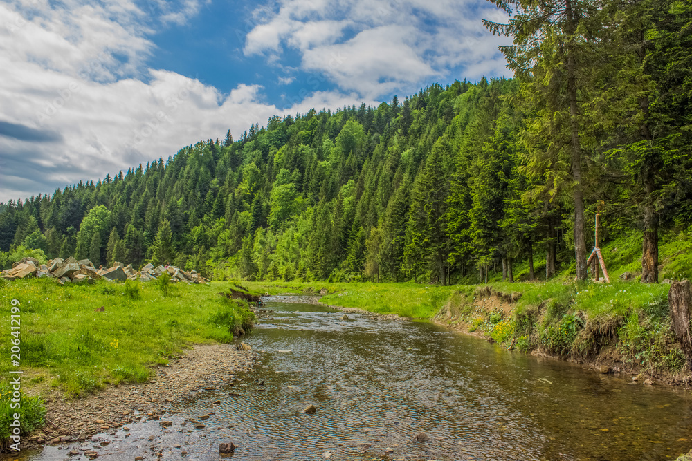 Obraz premium mountain valley forest landscape