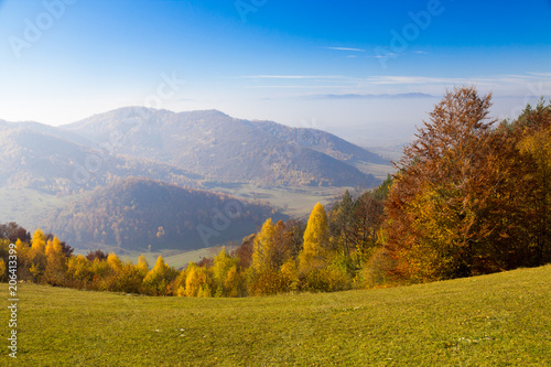 Colorful autumn forest landscape, with mountains in the background