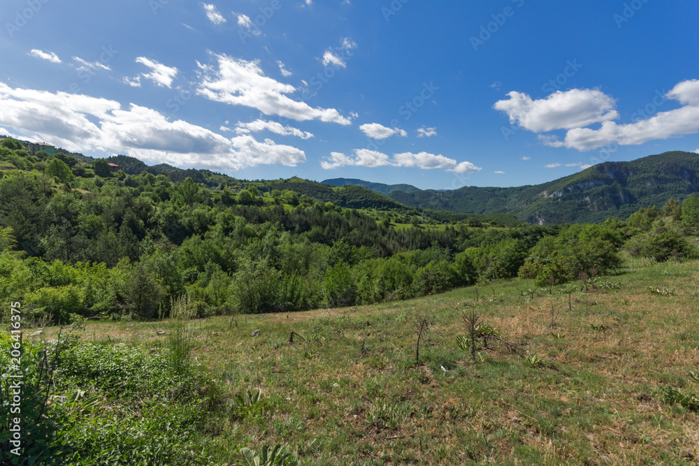 Fototapeta premium Amazing landscape of Green Hills near Village of Borovo in Rhodope Mountains, Plovdiv region, Bulgaria