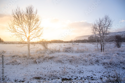 Snowy landscape in Soria Spain