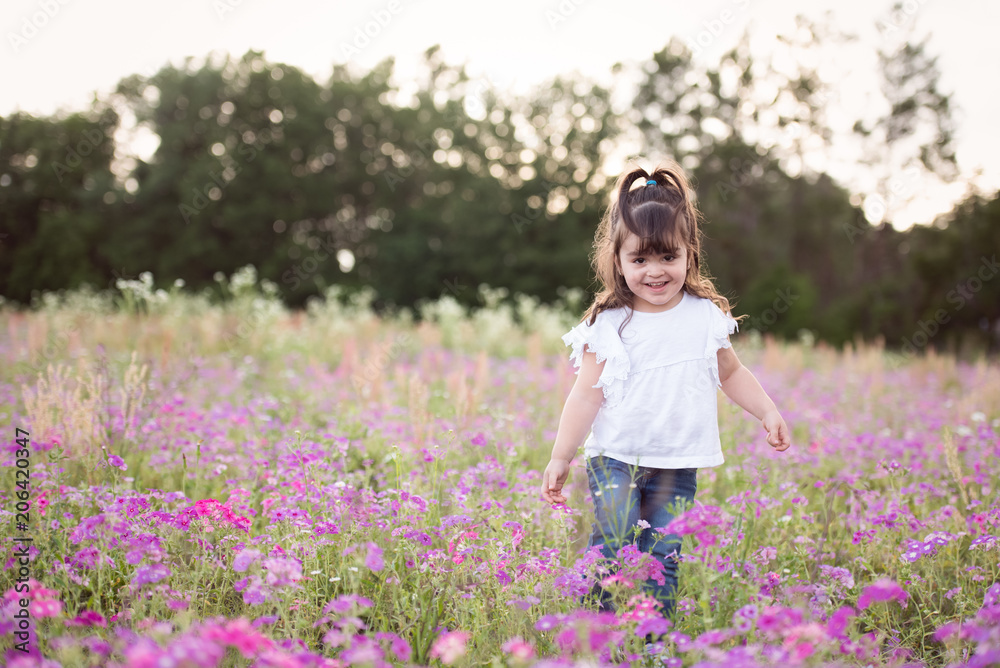 Little girl in a purple flower field during the evening golden light in the summer Little girl in a purple flower field during the evening golden light in the summer