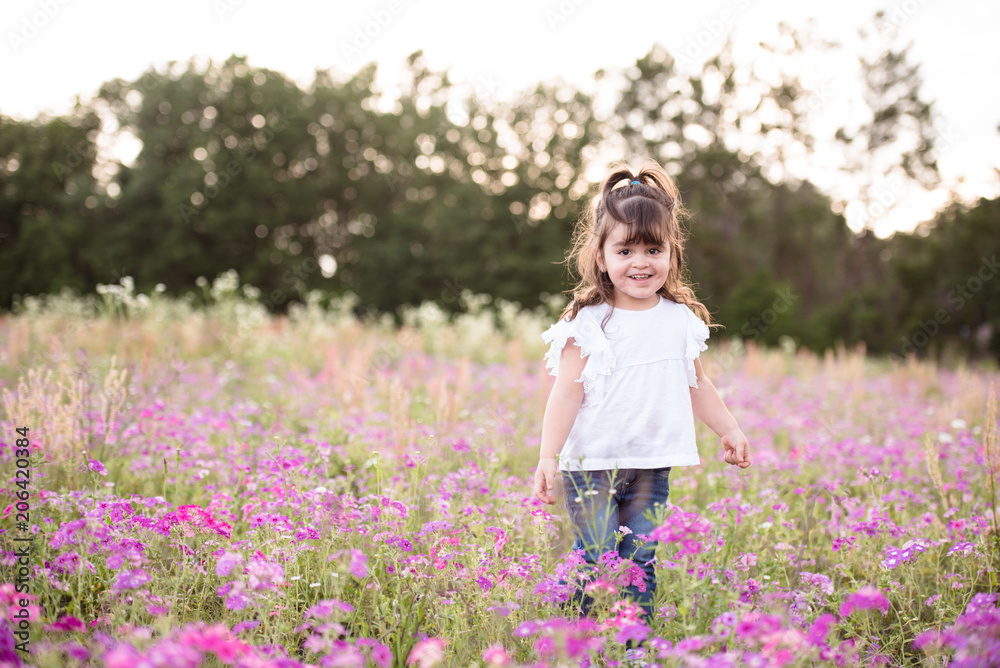 Little girl in a purple flower field during the evening golden light in the summer Little girl in a purple flower field during the evening golden light in the summer