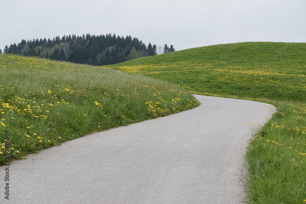 Naklejka premium Winding Road through Meadow, Overcast Day