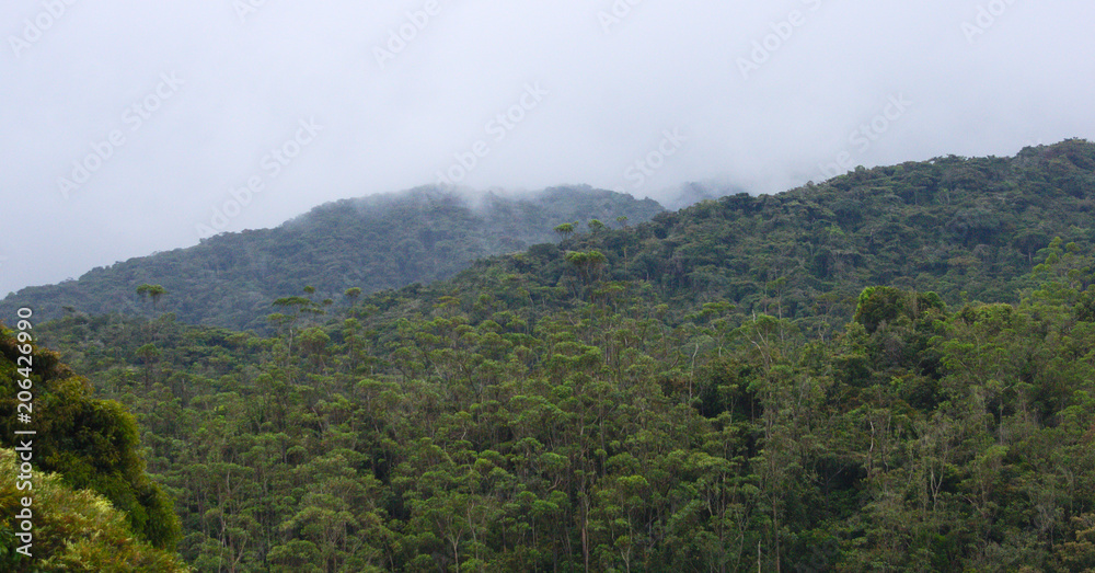 Cloudy wooded Cameron highlands mountains 