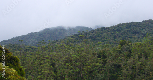 Cloudy wooded Cameron highlands mountains 