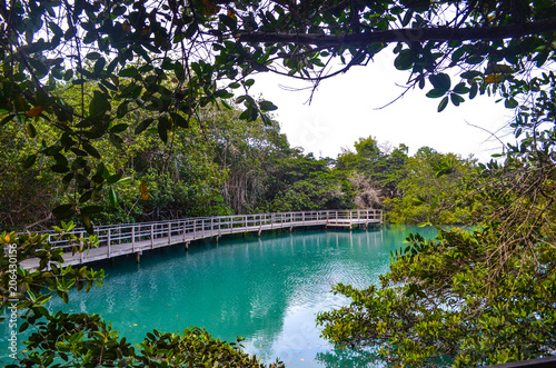 Laguna de las Ninfas, a saltwater lagoon in the town of Puerto Ayora, on Santa Cruz island in the Galapagos Islands. photo