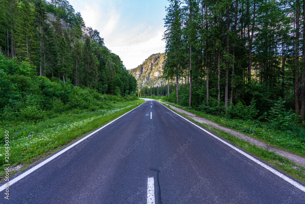 Naklejka premium Straße im Almtal