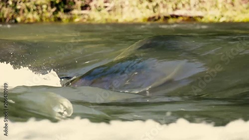 Rolling Water photo