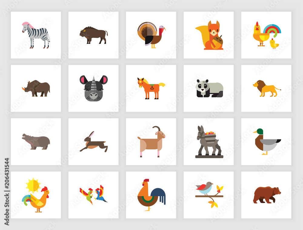 Animal species concept. Flat icon set. Zoo, domestic animals, wild animal.  Can be used for topics like nature, fauna, environment Stock Vector | Adobe  Stock