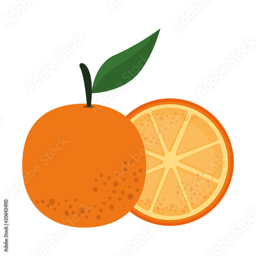 fresh oranges fruits icon vector illustration design