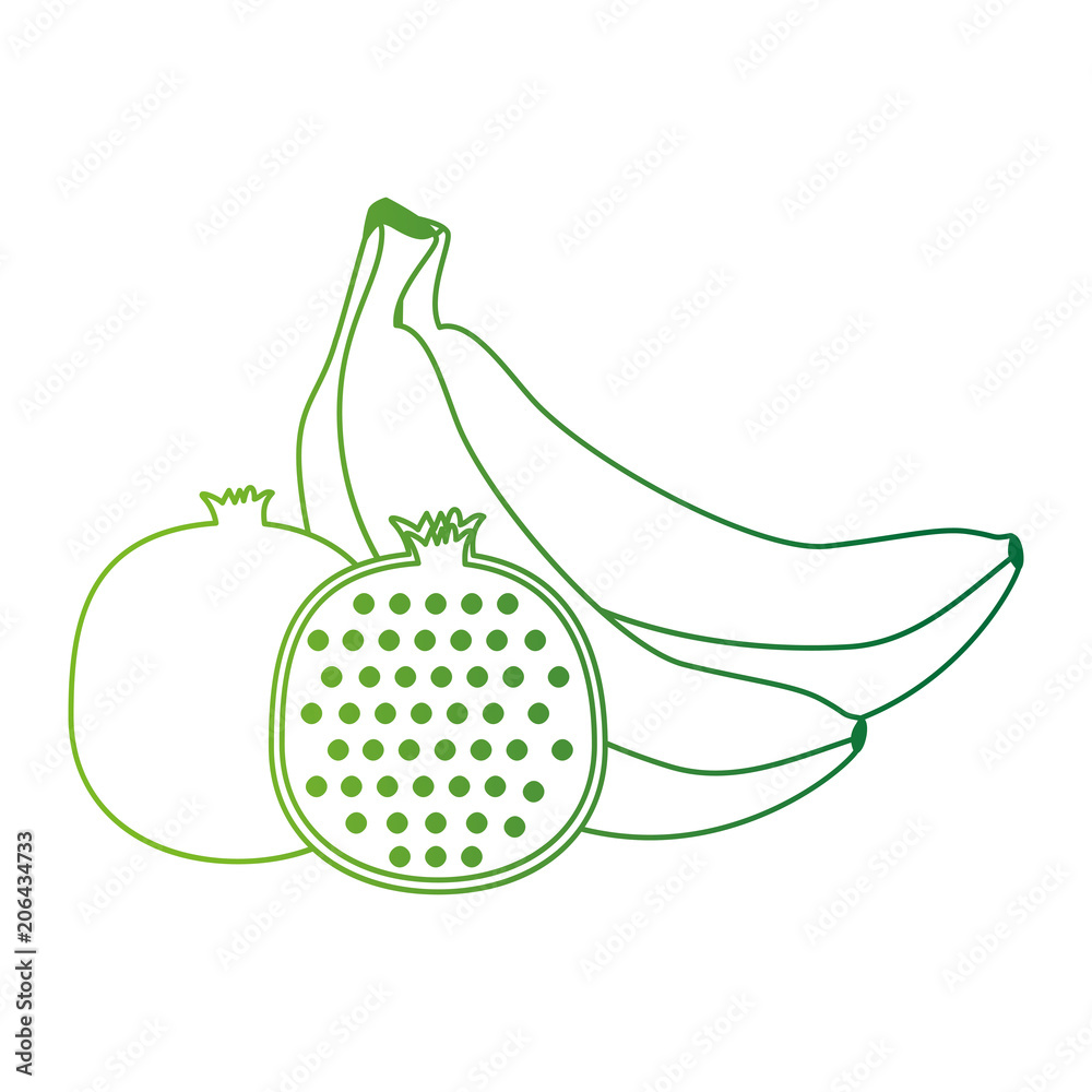 delicious set fruits healthy food vector illustration design delicious set fruits healthy food vector illustration design