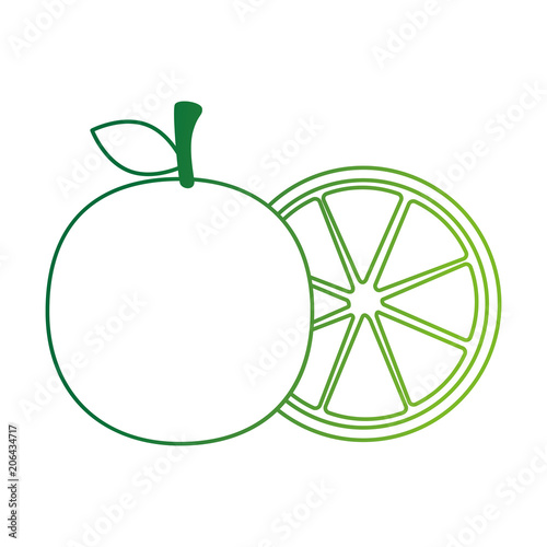 fresh oranges fruits icon vector illustration design