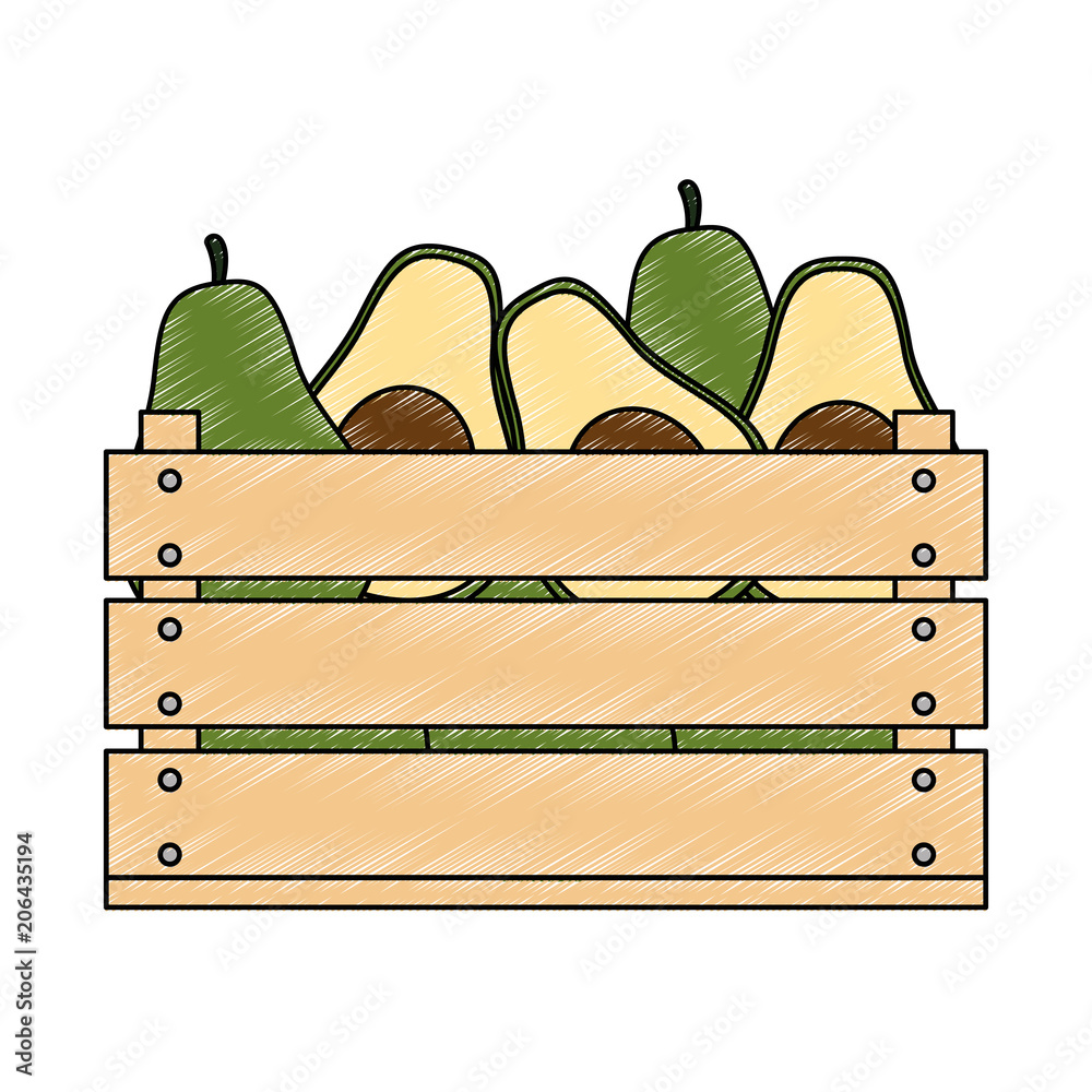 fresh avocados in wooden box vegetarian food vector illustration design fresh avocados in wooden box vegetarian food vector illustration design
