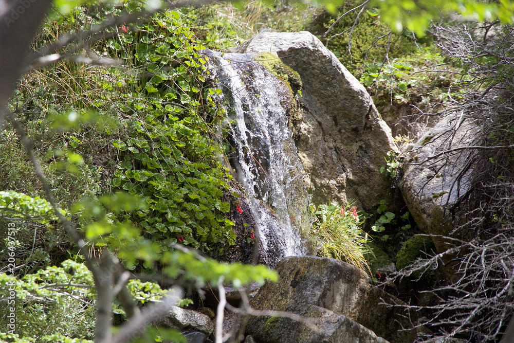 Waterfall at the Torres del Paine National Park, Chilean Patagonia, Chile Waterfall at the Torres del Paine National Park, Chilean Patagonia, Chile