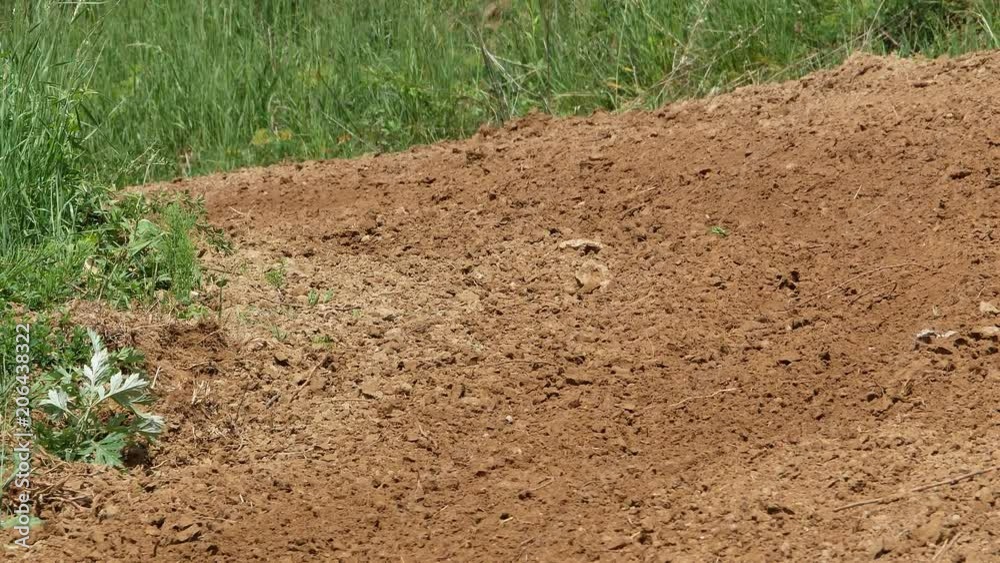 Motocross racers championship 4K Motocross racers championship 4K