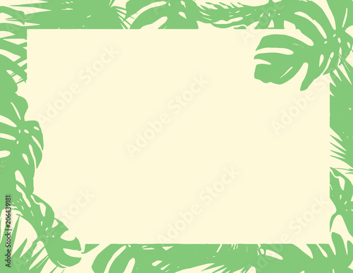 Green natural Monstera Deliciosa leaves border blank paper summer background
