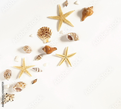 pattern of sea shells and stars on white background. flat lay, top view.copy space