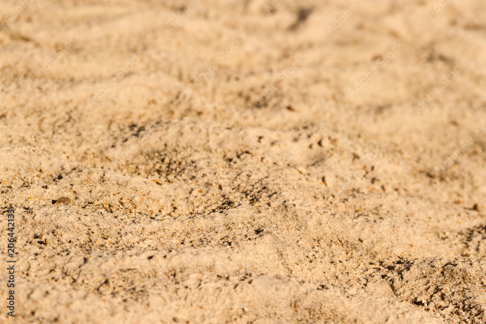 background with texture of sand and dune in the summer background with texture of sand and dune in the summer