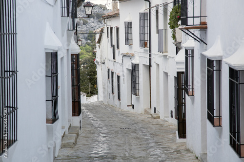 Street Scene; Grazalema; Andalusia