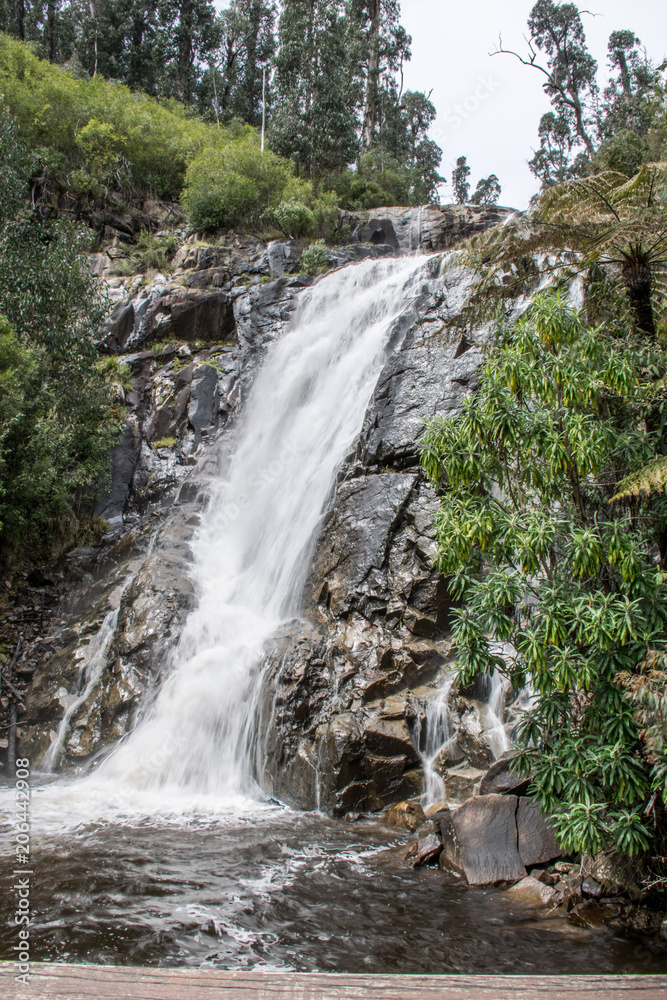 Fototapeta premium Waterfall