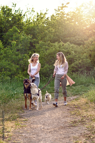 Zwei Frauen gehen mit ihren Hunden spazieren